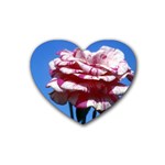 flower-bv5wa Heart Coaster (4 pack)