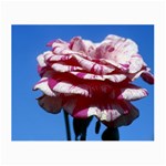 flower-bv5wa Glasses Cloth (Small, Two Sides)