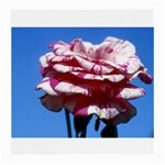 flower-bv5wa Glasses Cloth (Medium, Two Sides)