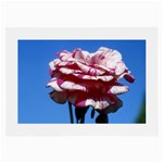 flower-bv5wa Glasses Cloth (Large, Two Sides)