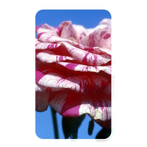 flower Front