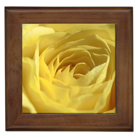 flower Front