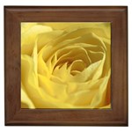 flower-07 Framed Tile