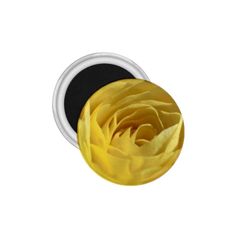 flower Front