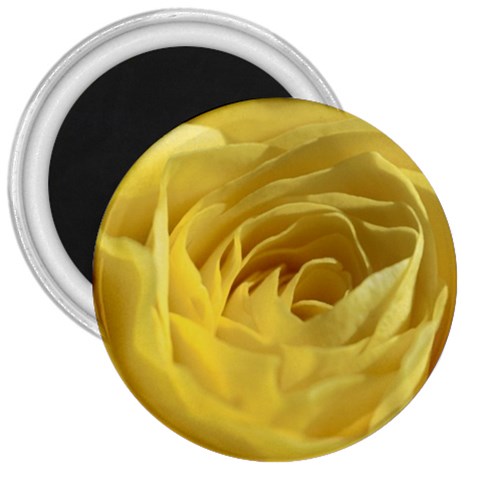 flower Front
