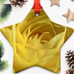 flower-07 Ornament (Star)