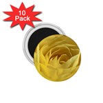 flower-07 1.75  Magnet (10 pack) 