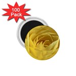 flower-07 1.75  Magnet (100 pack) 