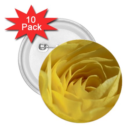 flower Front