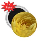 flower-07 2.25  Magnet (10 pack)