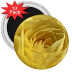 flower-07 3  Magnet (10 pack)