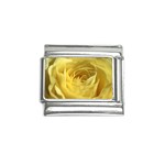 flower-07 Italian Charm (9mm)