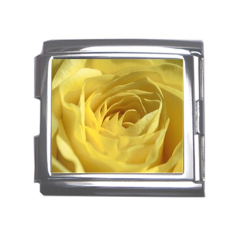 flower Front