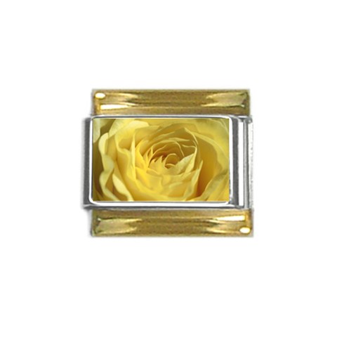 flower Front