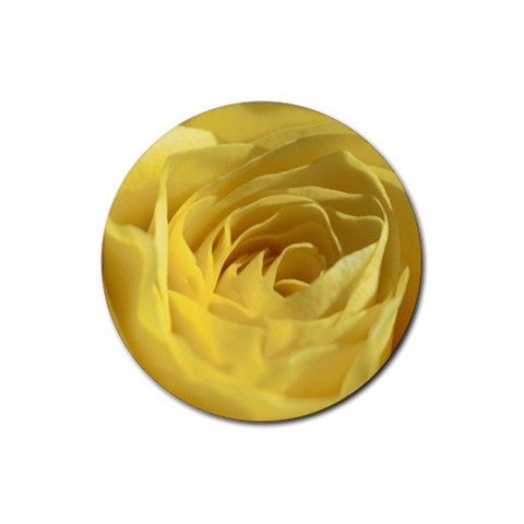 flower Front