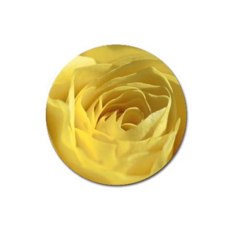flower Front