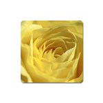 flower-07 Magnet (Square)