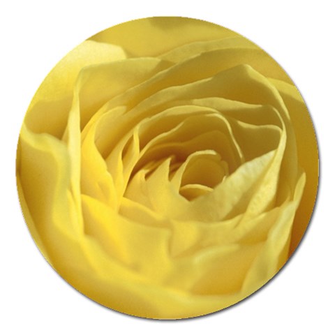 flower Front