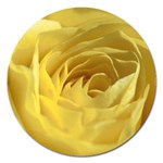 flower-07 Magnet 5  (Round)