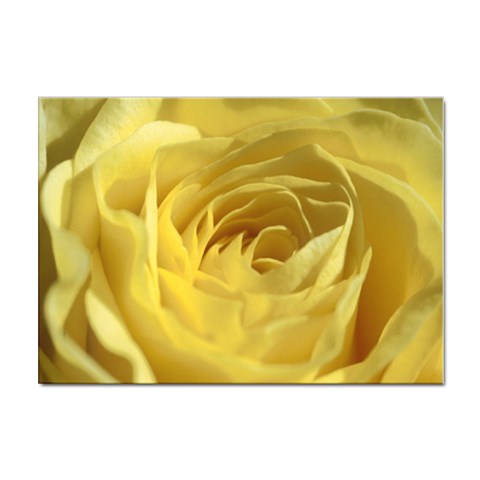 flower Front