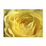 flower-07 Sticker A4 (10 pack)
