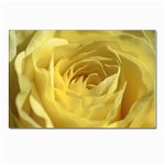 flower-07 Postcard 4 x 6  (Pkg of 10)