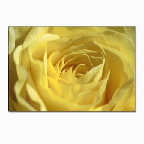 flower Front