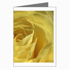 flower Left