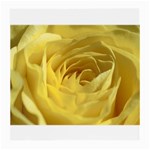 flower-07 Glasses Cloth (Medium)