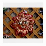 face-sun-i9e Glasses Cloth (Medium, Two Sides)