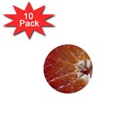 fruits-03 1  Mini Button (10 pack) 