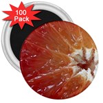 fruits-03 3  Magnet (100 pack)