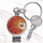 fruits-03 Nail Clippers Key Chain