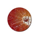 fruits-03 Rubber Round Coaster (4 pack)