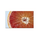 fruits-03 Sticker (Rectangular)