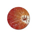 fruits-03 Magnet 3  (Round)