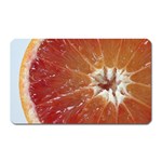 fruits-03 Magnet (Rectangular)
