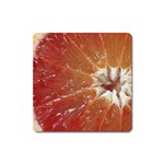 fruits-03 Magnet (Square)