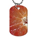 fruits-03 Dog Tag (One Side)