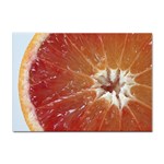 fruits-03 Sticker A4 (100 pack)