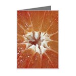 fruits-03 Mini Greeting Card