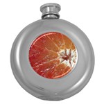fruits-03 Hip Flask (5 oz)