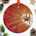 fruits-03 Round Ornament (Two Sides)