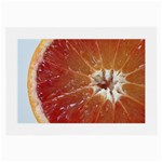 fruits-03 Glasses Cloth (Large, Two Sides)