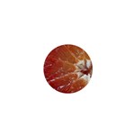 fruits-03 1  Mini Magnet