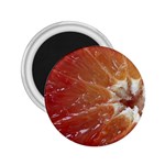 fruits-03 2.25  Magnet