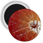 fruits-03 3  Magnet