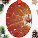 fruits-03 Ornament (Oval)