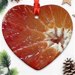 fruits-03 Ornament (Heart)