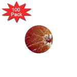 fruits-03 1  Mini Magnet (100 pack) 